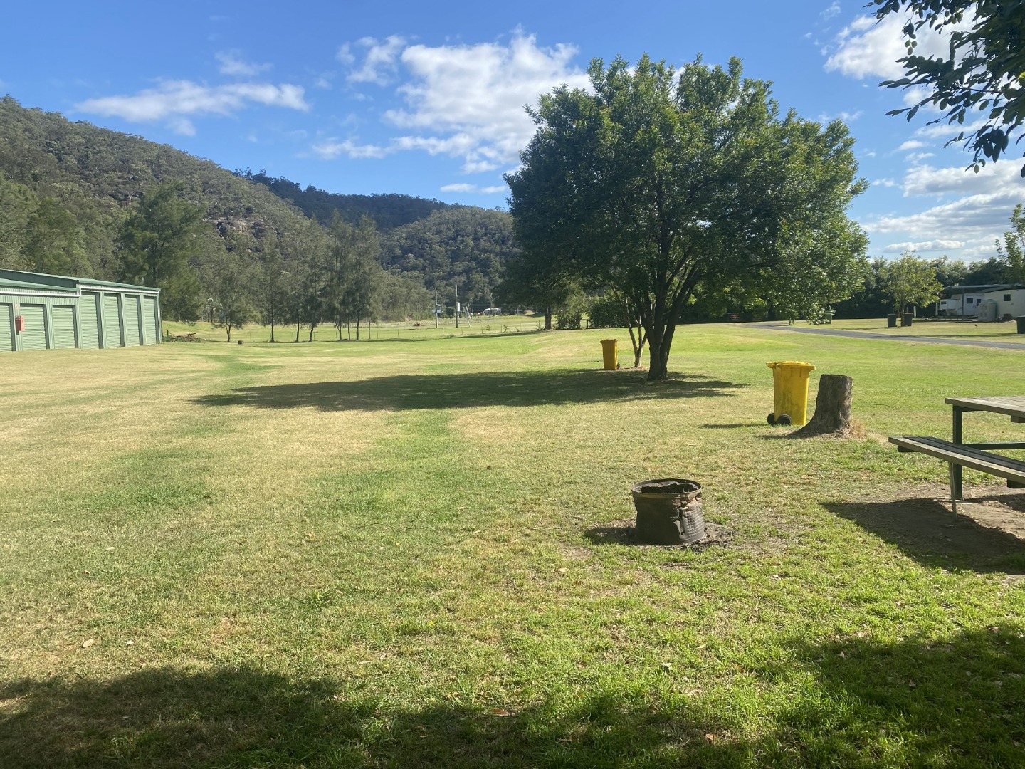 Nice Shot Grass Area (002)